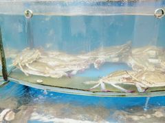 -渔中舟海鲜大排档(普陀沈家门店)