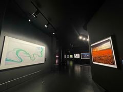 -罗红摄影艺术馆