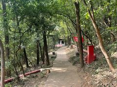 -江阴君山寺