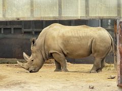 -新疆天山野生动物园