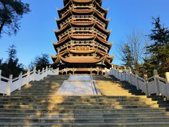 -铁山坪森林公园