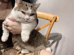 -IFIF 如果花園(宽厚里店)