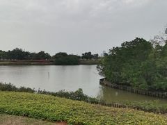 -万绿园