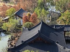 -江心屿景区