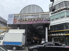 -西归浦每天偶来市场