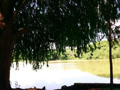 -南宁良凤江国家森林公园