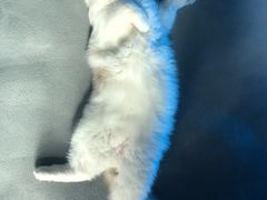 -零纪元VR体验馆·桌游(黄浦店)