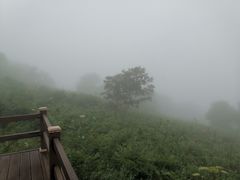 -凤凰山国家森林公园
