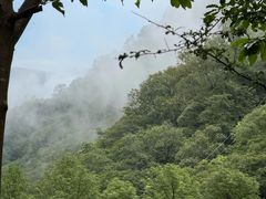 -牛背梁国家森林公园