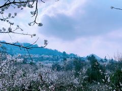 -樱桃山旅游景区