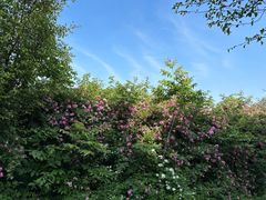 -临沂动植物园