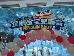 -帝企鹅自助餐厅•儿童岛•真企鹅(长隆企鹅酒店)