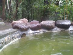 -花水湾第一村温泉大酒店