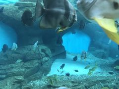 -波塞冬旅游度假区