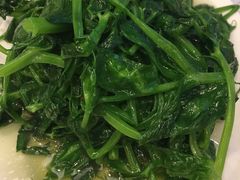-廖老妈蹄花店(人民公园陕西街259号店)