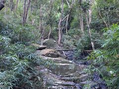 -梧桐山风景名胜区