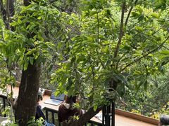 -孔雀湖生态旅游区