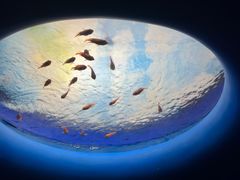 -欢乐海岸海洋奇梦馆