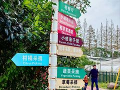 -前小桔亲子创意农场·草莓采摘·露营烧烤