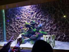 -北戴河圣蓝海洋公园