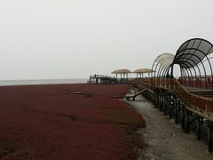 -红海滩国家风景廊道