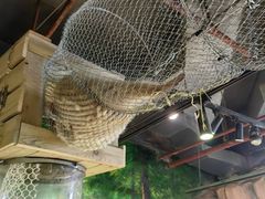 -正佳雨林生态植物园