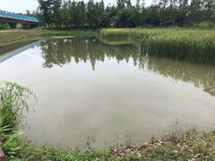 -白鹭湾湿地公园