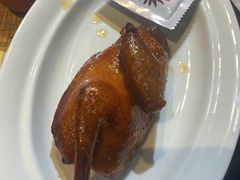 -阳光家常菜(泉城路店)