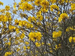 -合浦汉代文化博物馆