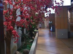 -丽池宫韩式汗蒸会馆(华灯坊店)