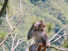 -重庆云阳龙缸景区