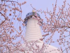 -北海公园