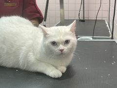 -FAELING PETS美天灵宠物(富力广场店)