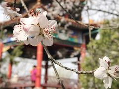 -白水寺森林公园