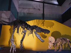 -湖南省地质博物馆