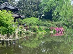 -西湖外事游船(花港观鱼码头)