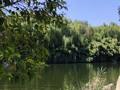 -西安汉城湖景区