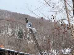 -长春莲花山滑雪场
