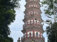 -中山公园(石岐街道)