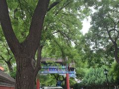 -北京国子监胡同