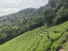 -敬亭山风景名胜区
