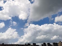 -赵天禄(葑门横街店)