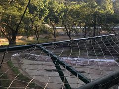 -三水森林公园