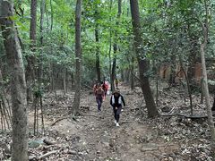 -紫金山山顶公园