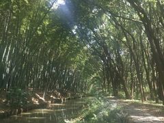 -同里国家湿地公园