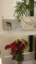 -本真坊美容美体沙龙