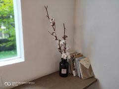 -MAISON门前杂货店