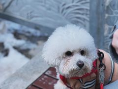 -终南山南五台景区