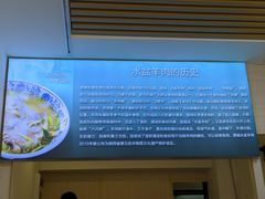 -丰登陕西水盆牛羊肉·泡馍
