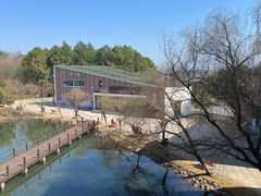 -鄱阳湖国家湿地公园